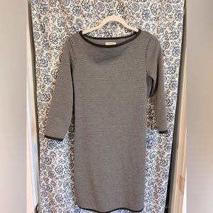 Max studio classic sweater dress
